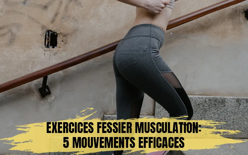 Exercices Fessier Musculation
